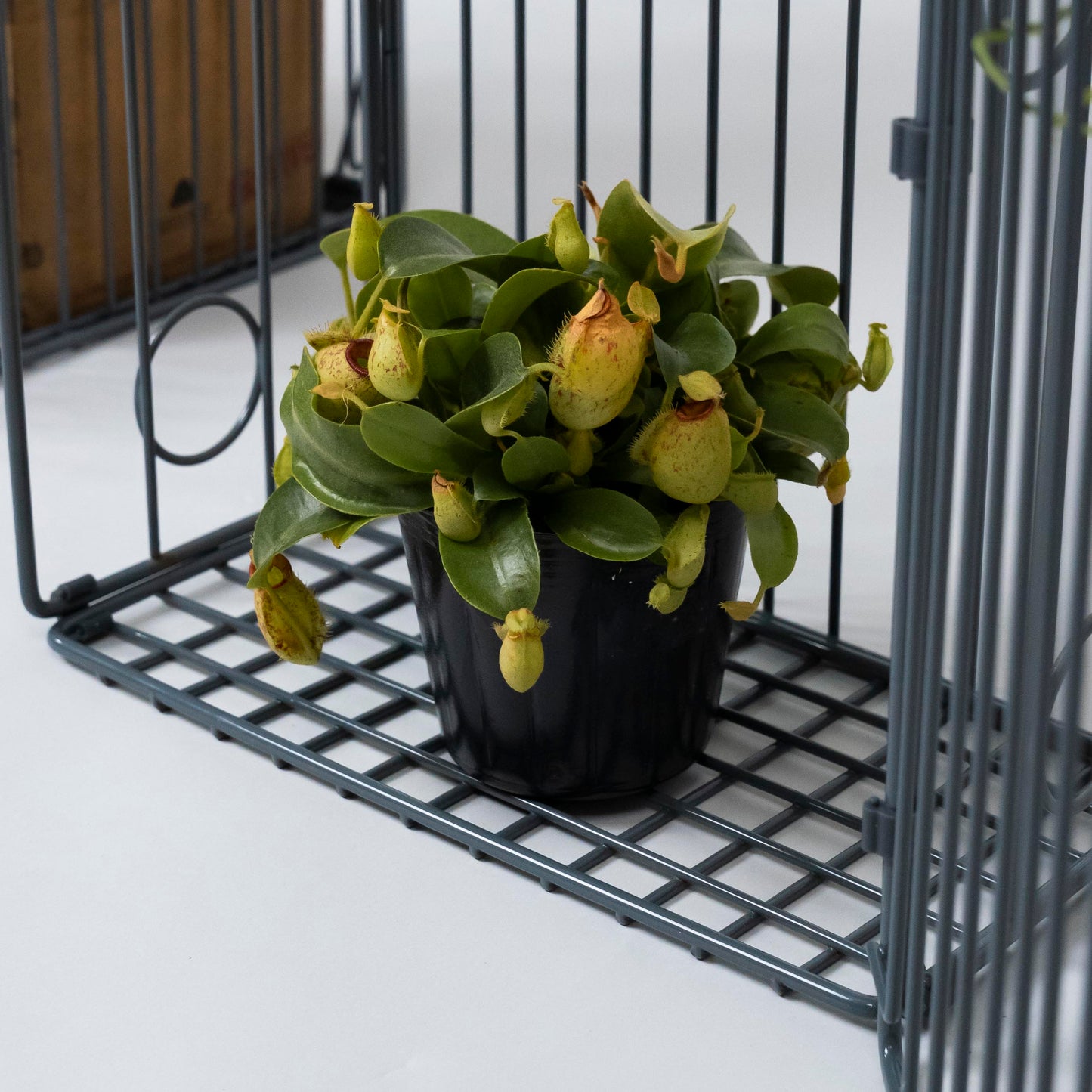 自由組鐵線收納籃